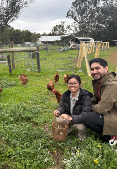 Meet the Farm Animals at Millgum Farm in the Swan Valley
