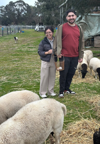 Meet the Farm Animals at Millgum Farm in the Swan Valley