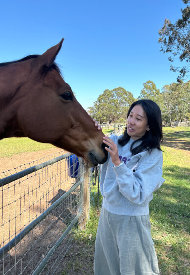 Meet the Farm Animals at Millgum Farm in the Swan Valley