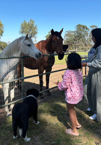 Meet the Farm Animals at Millgum Farm in the Swan Valley