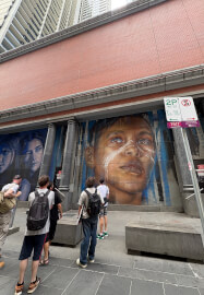 Melbourne Laneways and Culture Tour