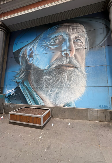 Melbourne Laneways and Culture Tour