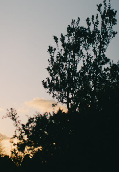 Melbourne Photography Course: DSLR and Mirrorless Express