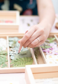 Melbourne Pressed Flower Framing Class