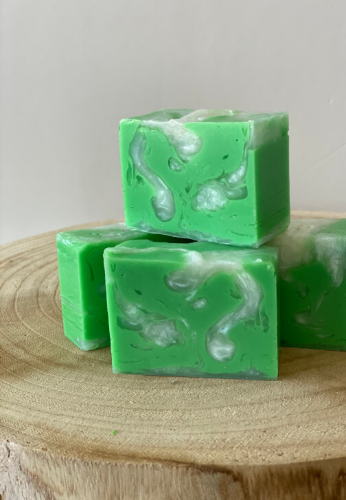Melt and Pour Soap Making Workshop