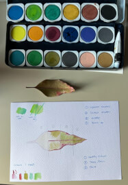Midweek Creative Break: Watercolour and Slow Art Workshop