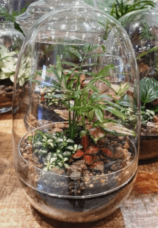 Mindful Making Workshop: Mini Moss Terrarium