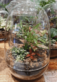 Mindful Making Workshop: Mini Moss Terrarium