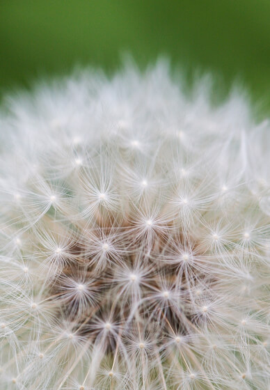 Mindfulness for Busy People Workshop