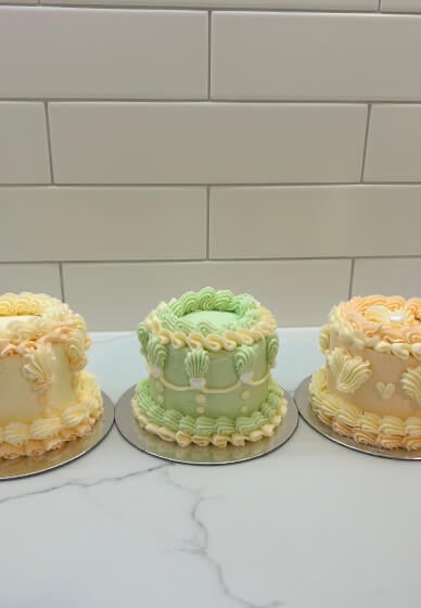 Mini Bento Cake Decorating Class