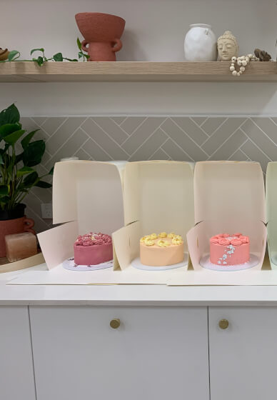 Mini Bento Cake Decorating Class