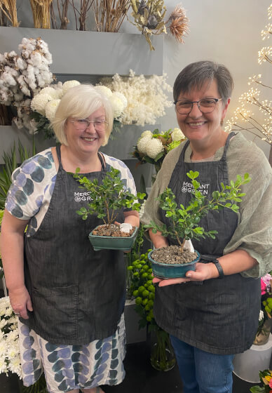 Mini Bonsai Workshop for Teams