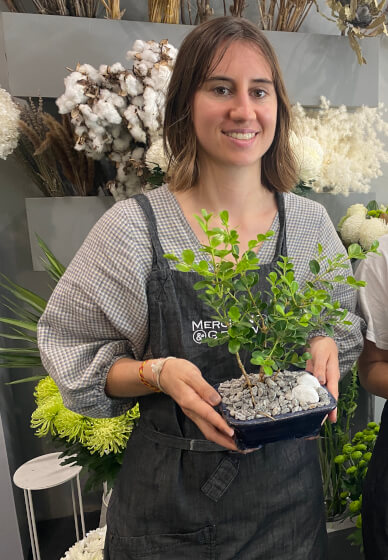 Mini Bonsai Workshop for Teams