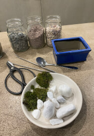 Mini Bonsai Workshop for Teams