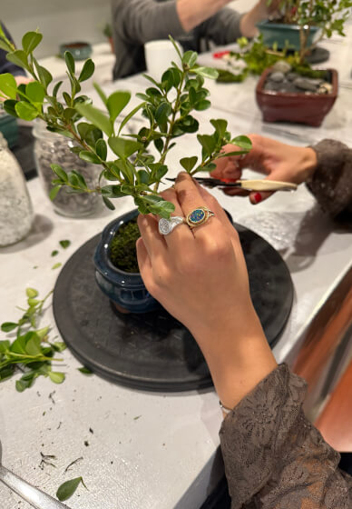 Mini Bonsai Workshop for Teams