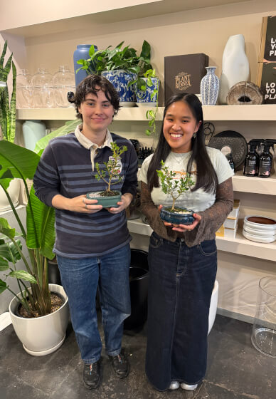 Mini Bonsai Workshop for Teams