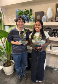 Mini Bonsai Workshop for Teams