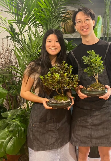 Mini Bonsai Workshop for Teams