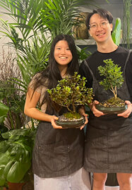 Mini Bonsai Workshop for Teams