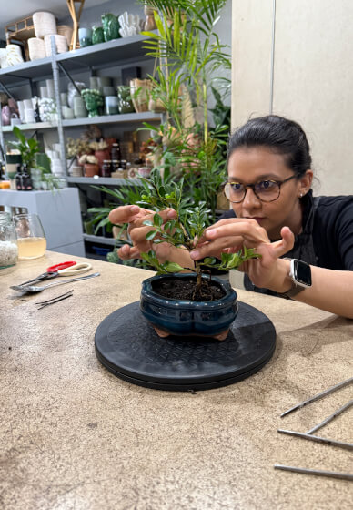 Mini Bonsai Workshop for Teams