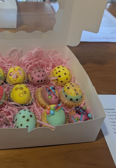 Mini Cupcake Baking and Decorating Class