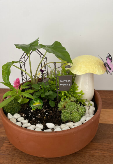 Mini Fairy Garden or Dino Garden Kids Workshop