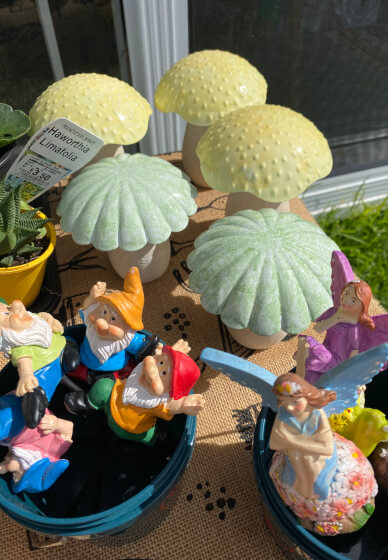 Mini Fairy Garden or Dino Garden Kids Workshop