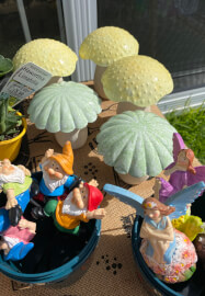 Mini Fairy Garden or Dino Garden Kids Workshop