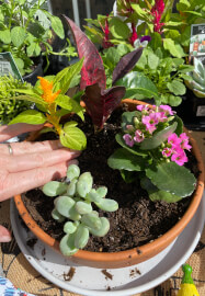 Mini Fairy Garden or Dino Garden Kids Workshop
