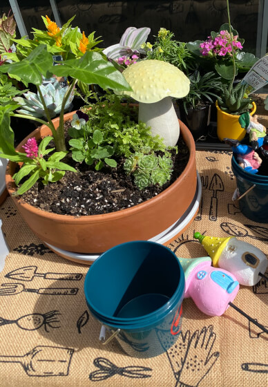 Mini Fairy Garden or Dino Garden Kids Workshop