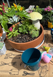 Mini Fairy Garden or Dino Garden Kids Workshop