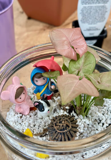 Mini Terrarium Workshop