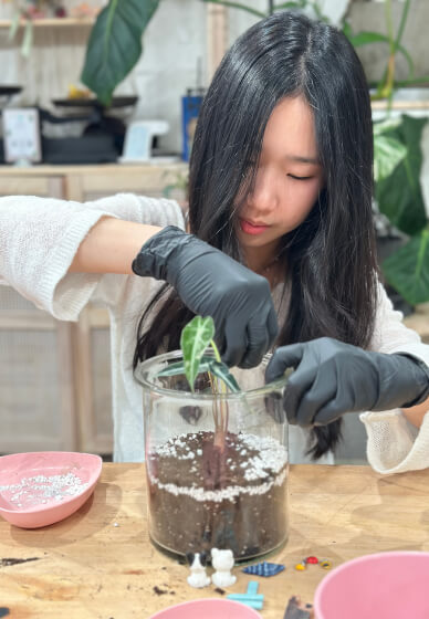 Mini Terrarium Workshop