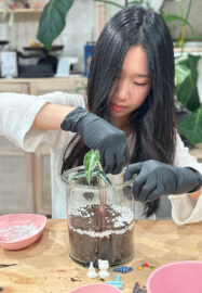 Mini Terrarium Workshop