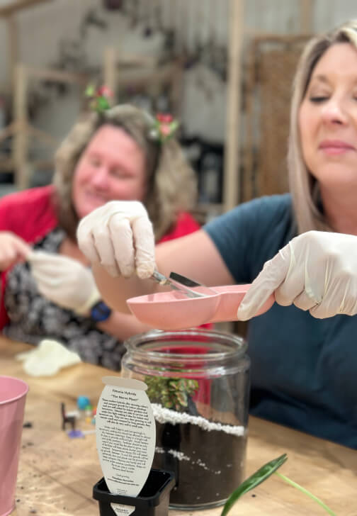 Mini Terrarium Workshop