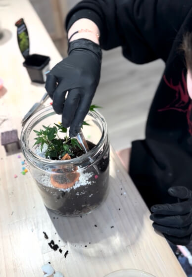 Mini Terrarium Workshop