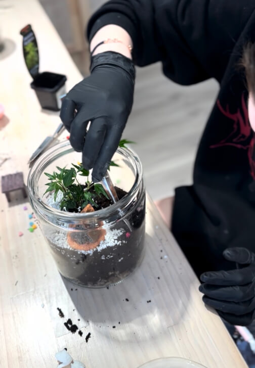 Mini Terrarium Workshop