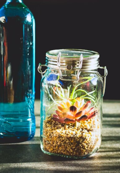 Mini Worlds: Terrarium Workshop for Kids and Teens South Canberra