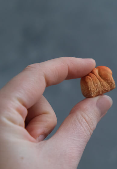 Miniature Clay Bread Workshop