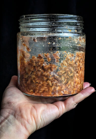 Miso Making Workshop