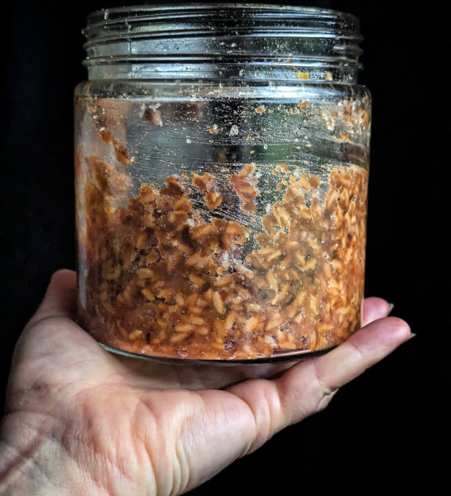 Miso Making Workshop