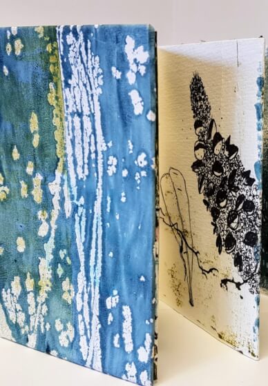 Mixed Media Nature Sketchbook Workshop