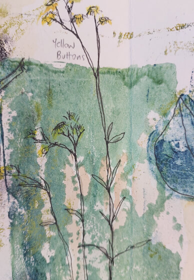 Mixed Media Nature Sketchbook Workshop