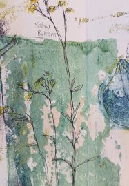 Mixed Media Nature Sketchbook Workshop