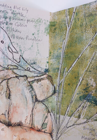 Mixed Media Nature Sketchbook Workshop