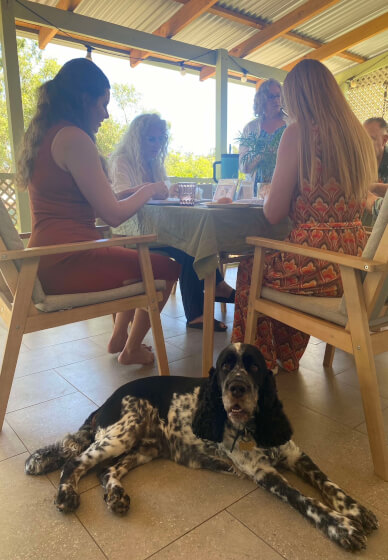 Mobile Needle Felting Workshop