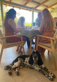 Mobile Needle Felting Workshop