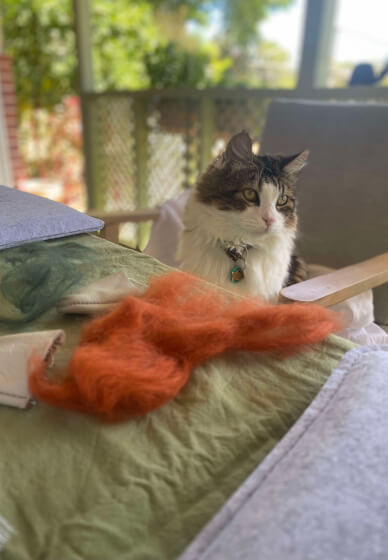 Mobile Needle Felting Workshop