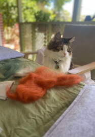 Mobile Needle Felting Workshop