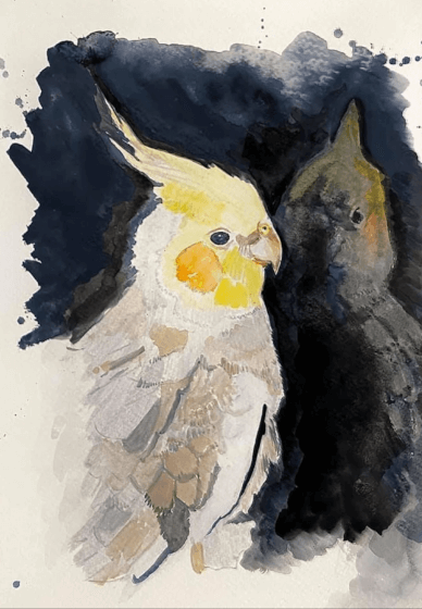 Australian Birds Watercolour Workshop